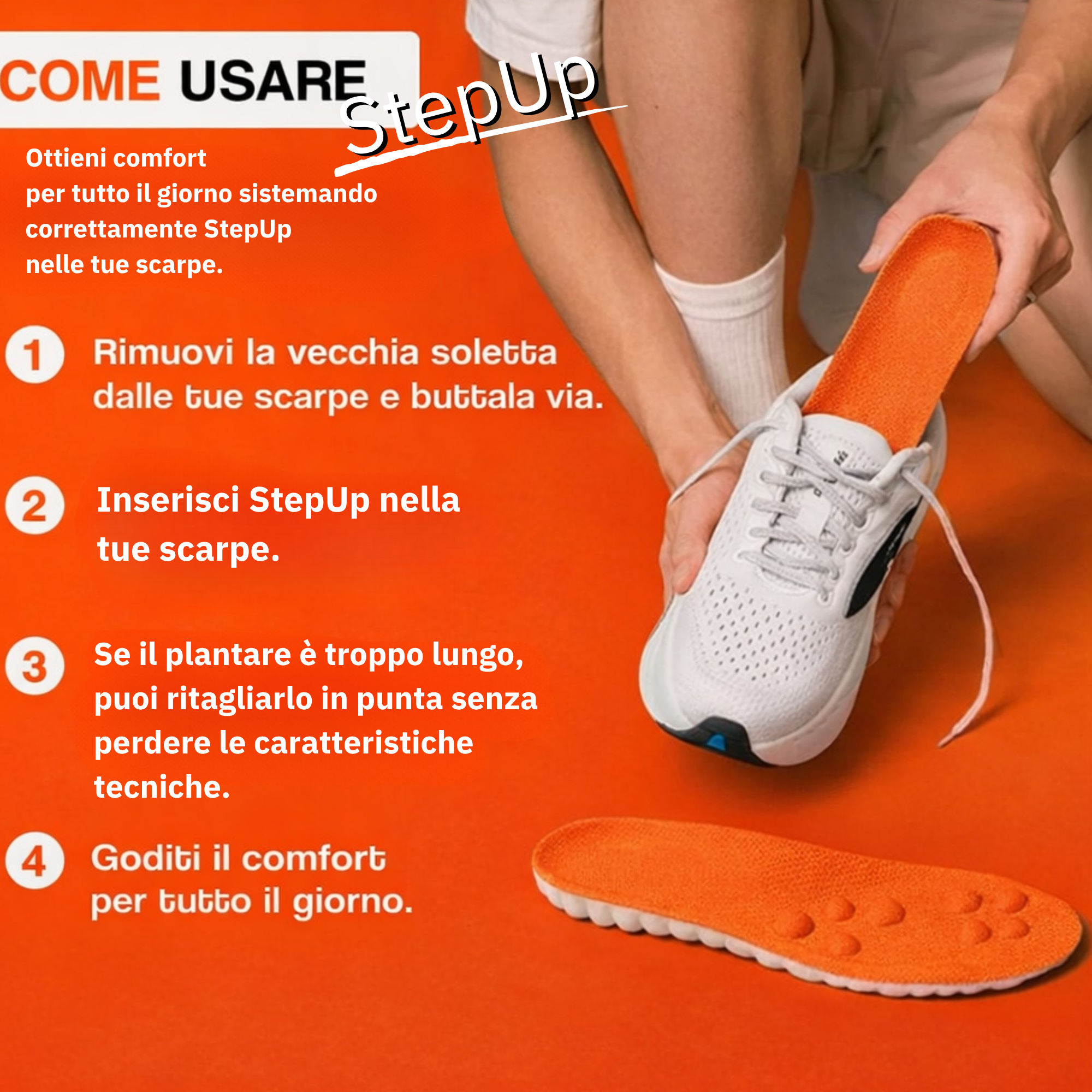 AI-StepUp plantari funzionali