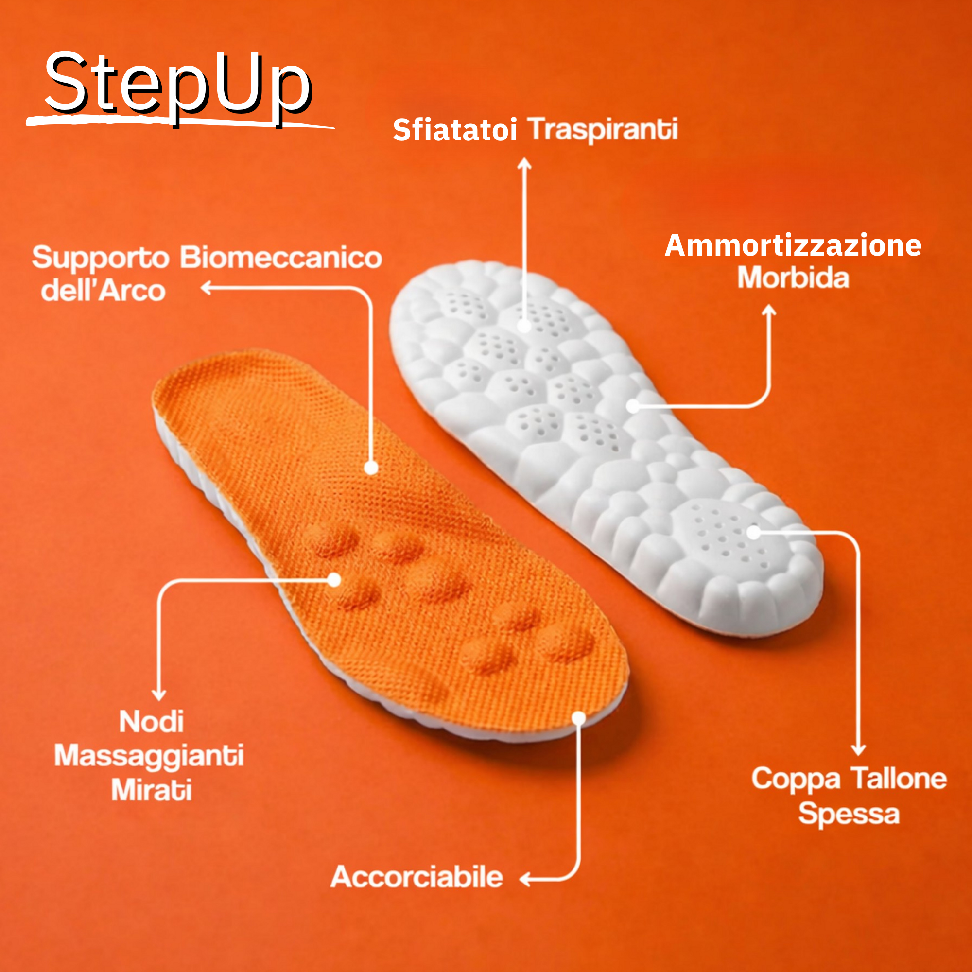 AI-StepUp plantari funzionali